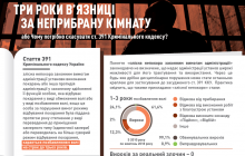 ТРИ РОКИ В'ЯЗНИЦІ ЗА НЕ ПРИБРАНУ КІМНАТУ / #STOP СТ. 391 КК