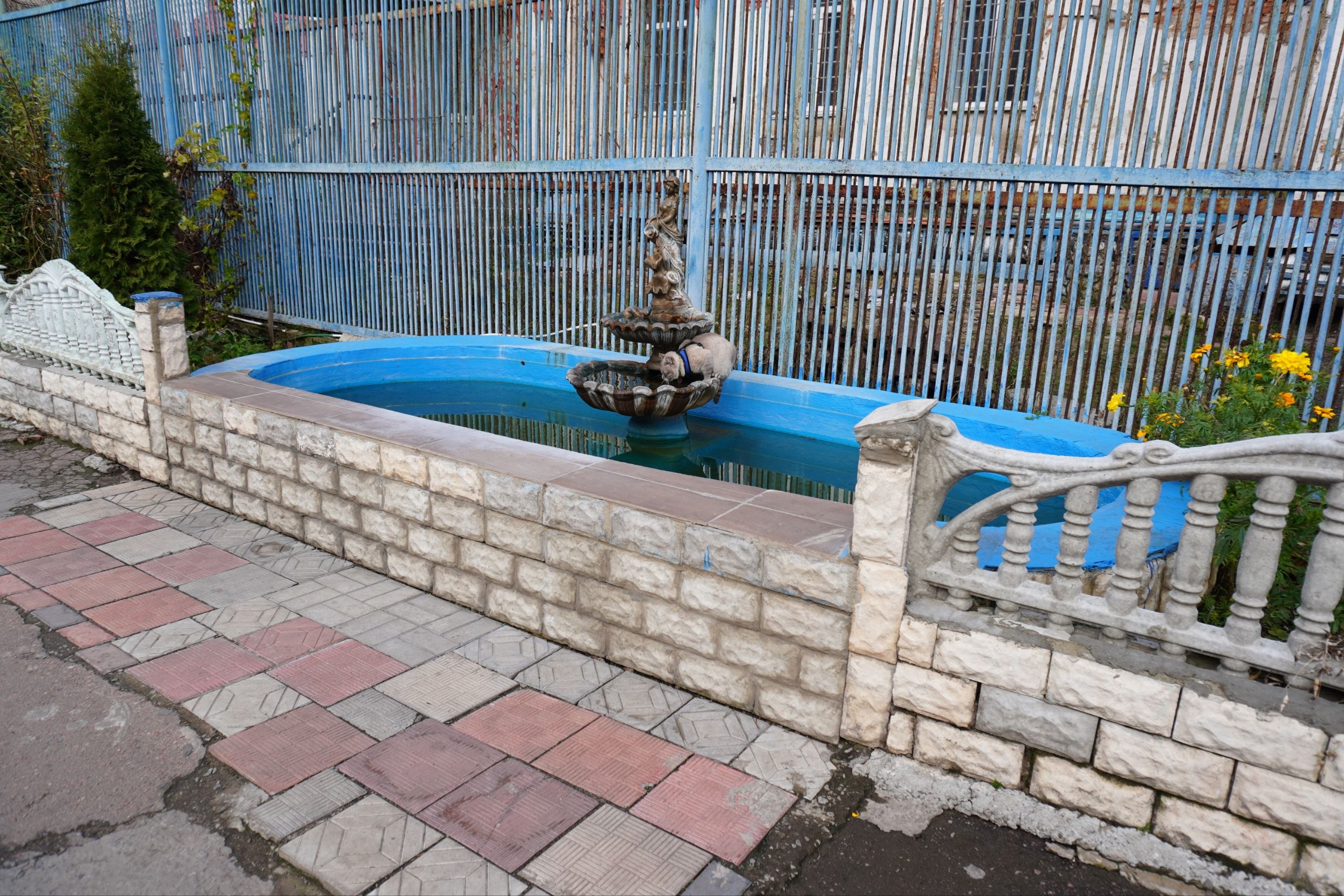 Звіт за результатами моніторингового візиту до Бердичівської виправної колонії №70