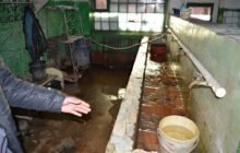 ‘Український та інші проти України’ — захист прав в’язнів під тиском Мін’юсту