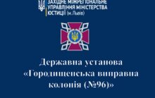 Звіт за результатами моніторингового визиту до Городищенської виправної колонії №96